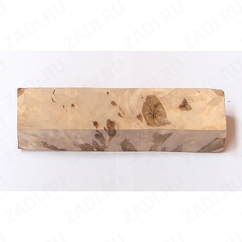 Корень березы BB48