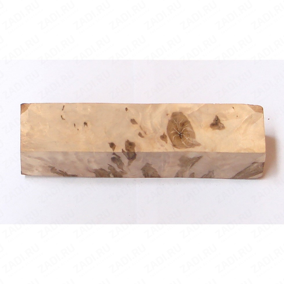 Корень березы BB48
